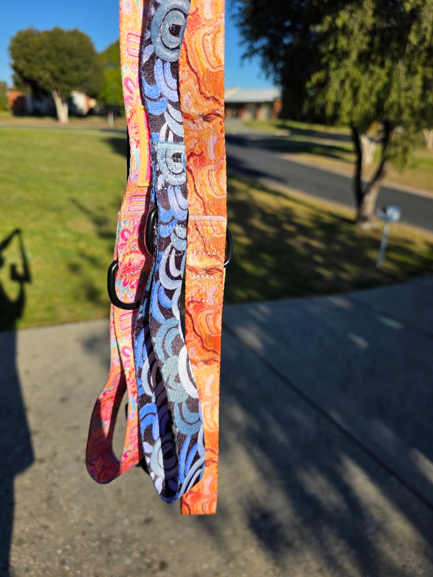 dog leads