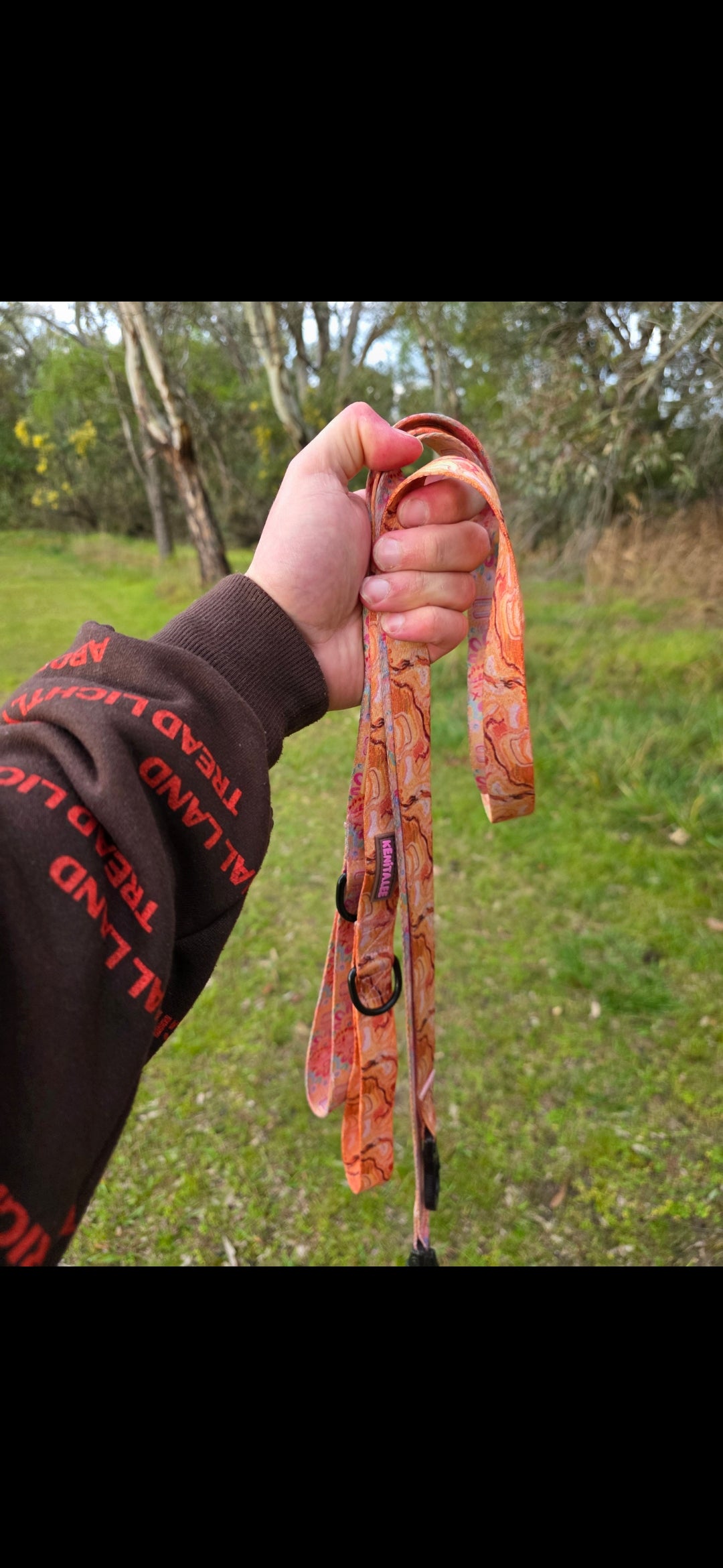 dog leads