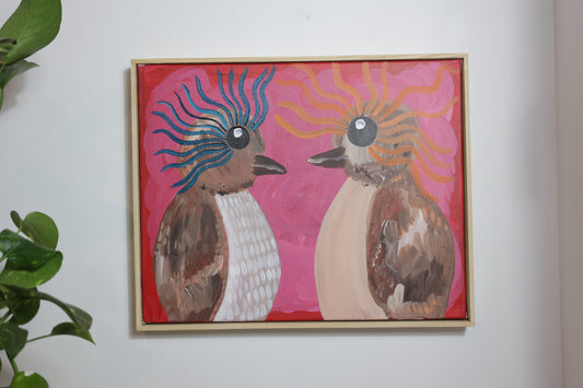 Kookaburra 2