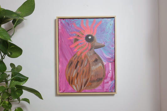 Kookaburra 1