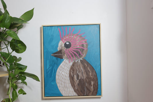 Kookaburra 5