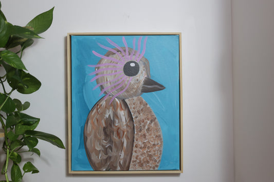 Kookaburra 4