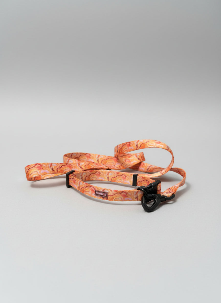 Dog Leads - Designed by Kenita.Lee