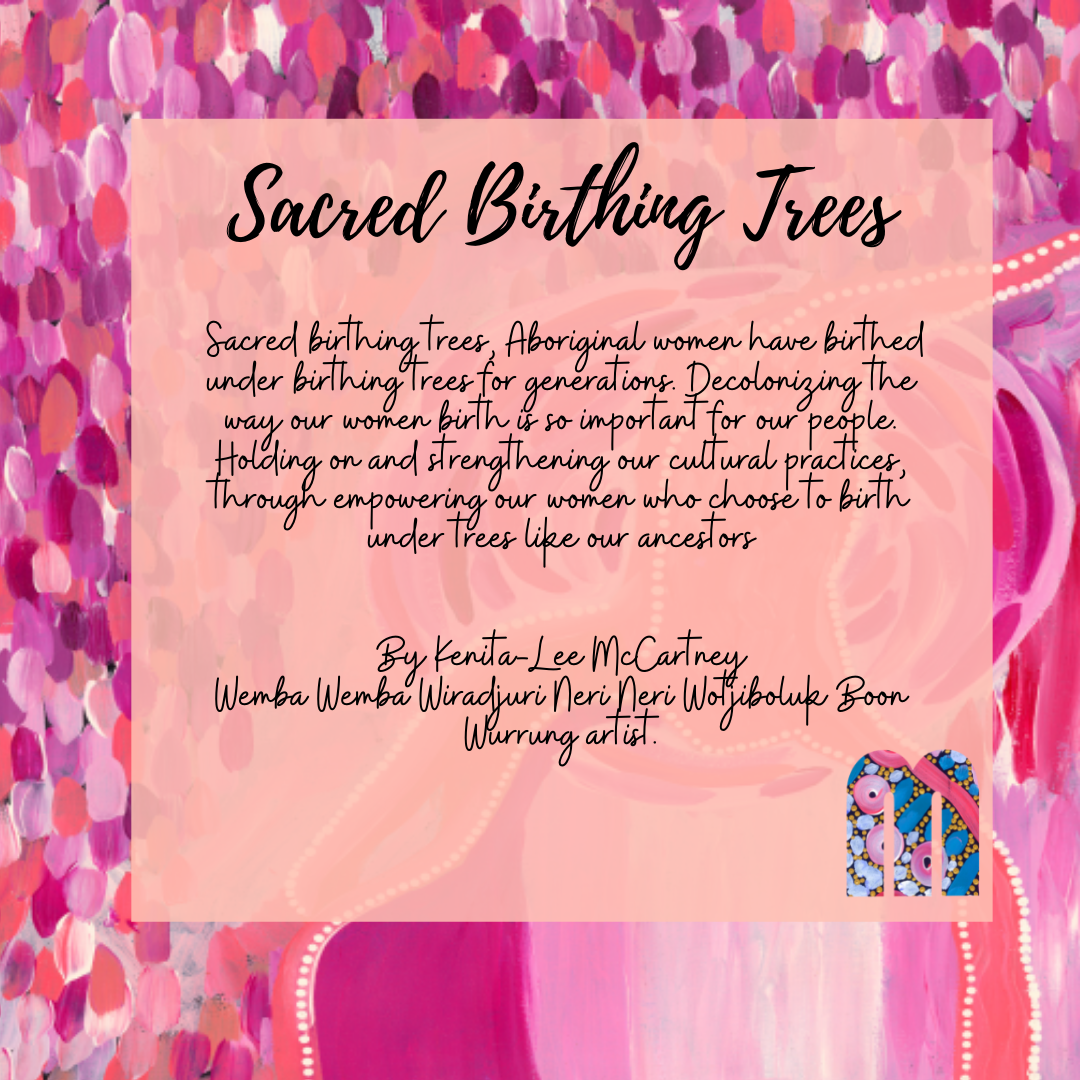 Framed Sacred birthing Tree Print in Oak Wood